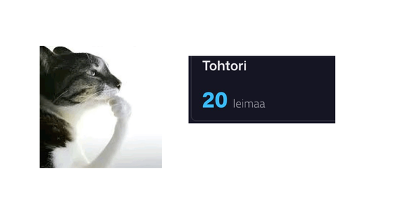 Onko approjen suoritustasoissa mitään järkeä?